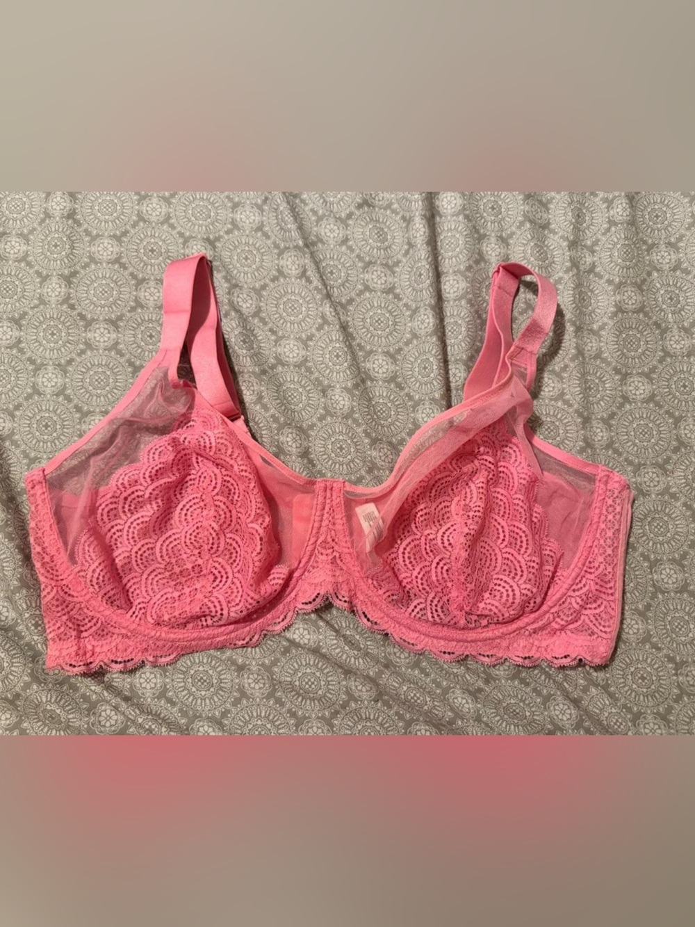 Sheer Lace Underwire Bra in Pink